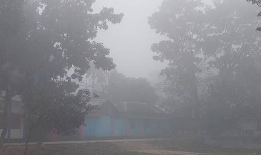 পঞ্চগড়ে মৃদু শৈত্যপ্রবাহ, মৌসুমের সর্বনিম্ন তাপমাত্রা রেকর্ড