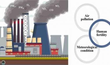 বায়ুদূষণের ফলে বাড়ছে নারী-পুরুষ উভয়েরই বন্ধ্যাত্বের ঝুঁকি: গবেষণা