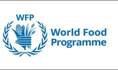 বিশ্ব খাদ্য কর্মসূচিতে চাকরির সুযোগ দিচ্ছে জাতিসংঘ