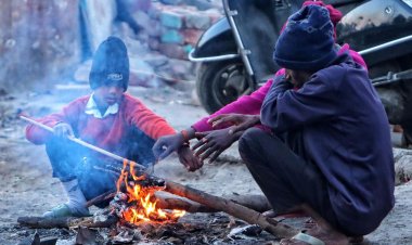 ফের ৫ ডিগ্রির নিচে নামল তাপমাত্রা, ঠান্ডায় কাঁপছে দিল্লি