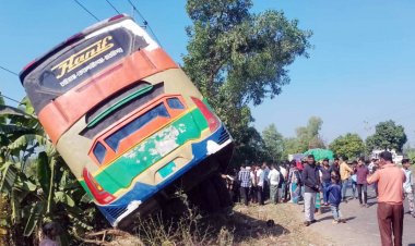 নিয়ন্ত্রণ হারিয়ে গাছের সঙ্গে বাসের ধাক্কা, ৩ যাত্রী নিহত