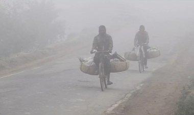 শৈত্যপ্রবাহে কাবু পঞ্চগড়