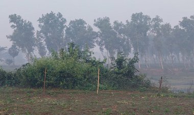  পঞ্চগড়ে ফের ৯ এর নিচে তাপমাত্রার পারদ