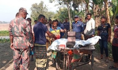 বিএসএফের বিরুদ্ধে সীমান্তে ৩ বাংলাদেশিকে পিটিয়ে হত্যার অভিযোগ