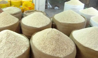 ধানের এই ভরা মৌসুমে আমদানি হচ্ছে ভারতীয় চাল, তবুও কমছে না দাম