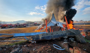 বিমান বিধ্বস্ত হয়ে দক্ষিণ কোরিয়ায় ৪৭ জনের মৃত্যু