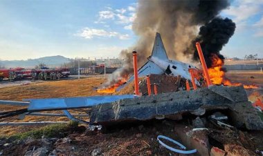  দক্ষিণ কোরিয়ায় বিমান বিধ্বস্তে নিহত বেড়ে ৮৫