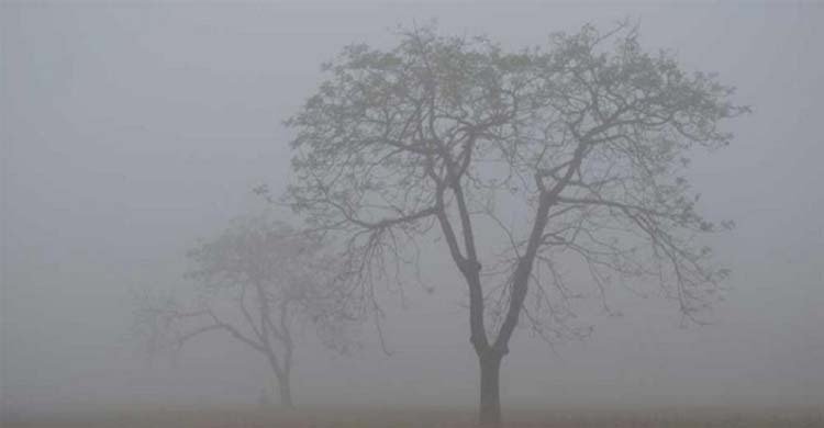 ৩ জেলায় মৃদু শৈত্যপ্রবাহ