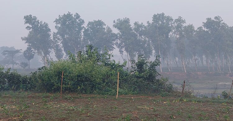 পঞ্চগড়ে ফের ৯ এর নিচে তাপমাত্রার পারদ