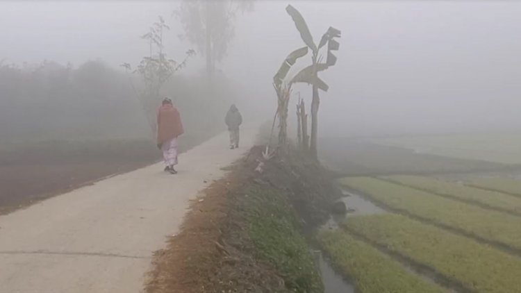 কবে থেকে শৈত্যপ্রবাহ, জানাল আবহাওয়া অফিস