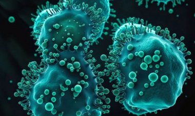 নতুন ভাইরাস ছড়িয়ে পড়ার শঙ্কায়  চীন