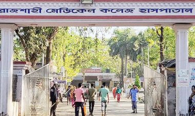 চাঁপাইনবাবগঞ্জ সীমান্তে বাংলাদেশিকে বিএসএফের গুলি