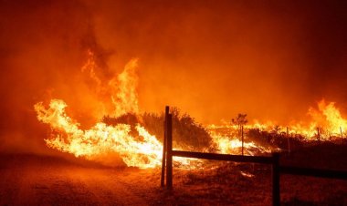 লস অ্যাঞ্জেলসে দাবানলে মৃতের সংখ্যা বেড়ে ১৬