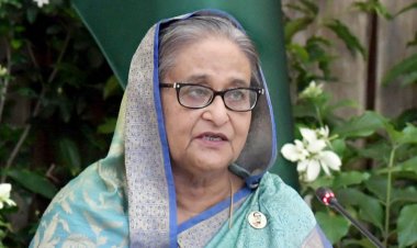 অন্তর্বর্তী সরকারের সমালোচনা করা সেই প্রতিবেদন প্রত্যাহার ব্রিটিশ এমপিদের