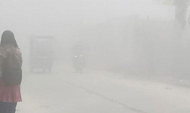 কুয়াশায় ঢাকা দিনাজপুর, দেখা মিলছে না সূর্যের