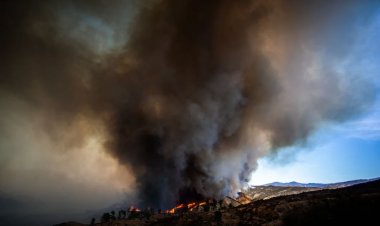 লস অ্যাঞ্জেলেসের সর্বশেষ দাবানলের কিছুটা অগ্রগতি