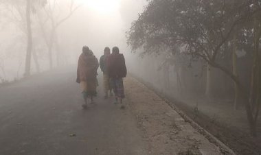  ৮ জেলায় শৈত্যপ্রবাহ, কবে কমবে জানালো আবহাওয়া অফিস