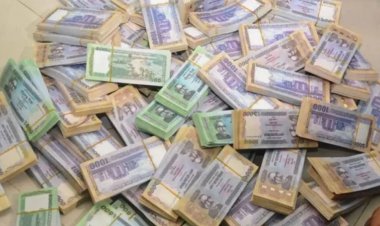 এমপিরা না থাকলেও থেমে নেই লুটপাট