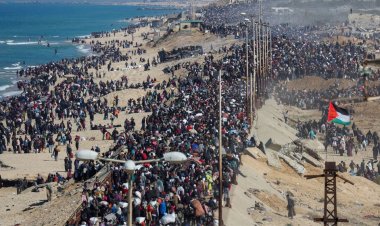 উত্তর গাজায় একদিনে ফিরেছেন ৩ লাখের বেশি ফিলিস্তিনি