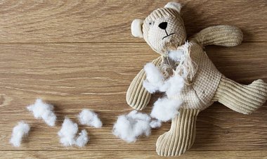 গাজায় মৃত্যুর ‘গুরুতর’ ঝুঁকিতে অন্তত ২ হাজার ৫০০ শিশু