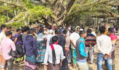 ফরিদপুরে আওয়ামী লীগ-বিএনপি সংঘর্ষ, ৩০ বাড়ি ভাঙচুর-লুটপাট, আহত ১০