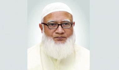 সার্বিক পরিস্থিতির জন্য শেখ হাসিনা দায়ী : ডা. শফিকুর রহমান