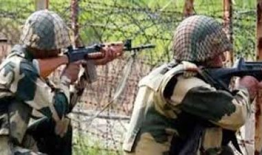 চাঁপাইনবাবগঞ্জে বাংলাদেশিকে পিটিয়ে হত্যা করলো বিএসএফ