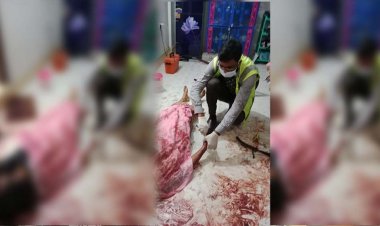 ফ্ল্যাটে মিলল স্বামী-স্ত্রীর লাশ