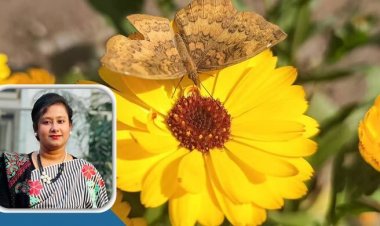 বসন্ত রাঙাবে প্রাণ, উড়বে ভালোবাসা