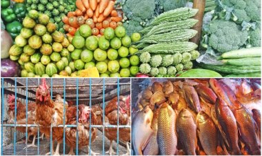 মাছ-মুরগি-চালের দাম কিছুটা কমেছে, কাটেনি সয়াবিন তেল সংকট