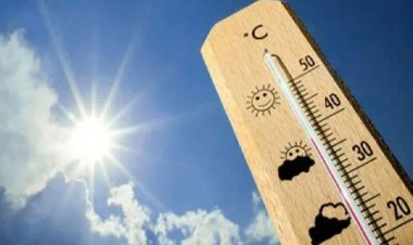 রাতে কমে দিনে বাড়বে তাপমাত্রা