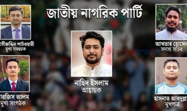 নতুন দল এনসিপি, শেষ সময়ে কাঠামোতে পরিবর্তন