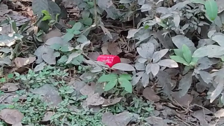 কেরুর চিনিকলে আবারও বোমা, এলাকাজুড়ে আতঙ্ক