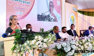 রমজানে ‘সুলভে’ দুধ-ডিম , জুলাই বিপ্লবে বেশি জনসমাগমের স্থানকে অগ্রাধিকার: মৎস্য ও প্রাণিসম্পদ উপদেষ্টা