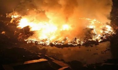 ভয়াবহ দাবানলের কবলে জাপান