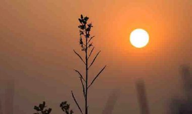  রাতের তাপমাত্রা সামান্য কমতে পারে