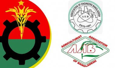 বিএনপির ২ পেশাজীবী সংগঠনের কমিটি বিলুপ্ত