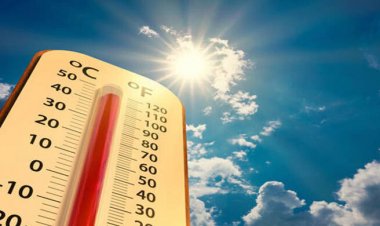 সপ্তাহ শেষে বাড়তে পারে গরম