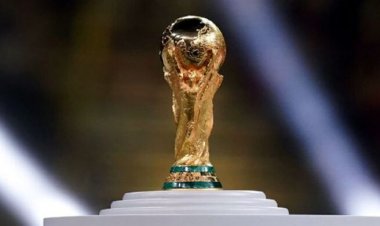 ২০৩০ সালে শতবর্ষ পূর্তি ৬৪ দেশ নিয়ে বিশ্বকাপ আয়োজনের প্রস্তাব