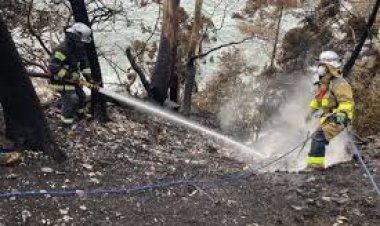 ৫০ বছরের মধ্যে জাপানে লাগা সবচেয়ে ভয়াবহ দাবানল নিয়ন্ত্রণে