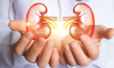  বিশ্ব কিডনি দিবস আজ