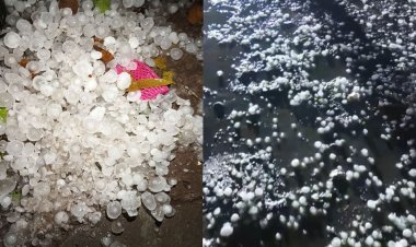 দুই জেলায় শিলাবৃষ্টি ও অসময়ের কালবৈশাখী