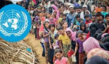 জাতিসংঘের সাধারণ পরিষদে রোহিঙ্গা সংকট সম্পর্কিত প্রস্তাব গৃহীত