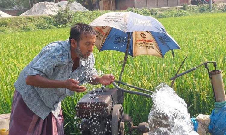পাঁচ জেলায় বইছে মৃদু তাপপ্রবাহ