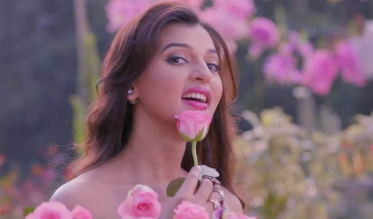 চলচ্চিত্র ছাড়বো এটা আমার চয়েস: বর্ষা