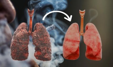 ফুসফুস ভালো থাকবে যেসব উপায়ে