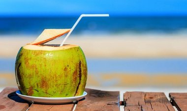 গরমে সুস্থ থাকতে কোন খাবার খাবেন?