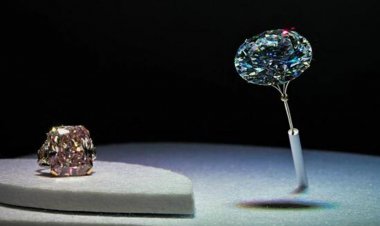 আবুধাবিতে দুর্লভ হীরার প্রদর্শনী, নজর কাড়ছে ‘নীল হীরা’