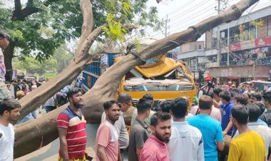 চলন্ত ট্রাকের ওপর ভেঙে পড়লো গাছের ডাল