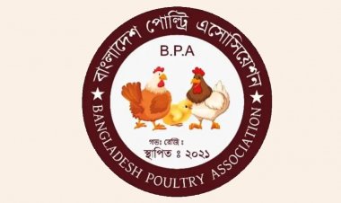 মে থেকে সারা দেশে ডিম-মুরগির উৎপাদন বন্ধ ঘোষণা